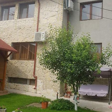 Hotel Casa Andrei Techirghiol Exteriér fotografie